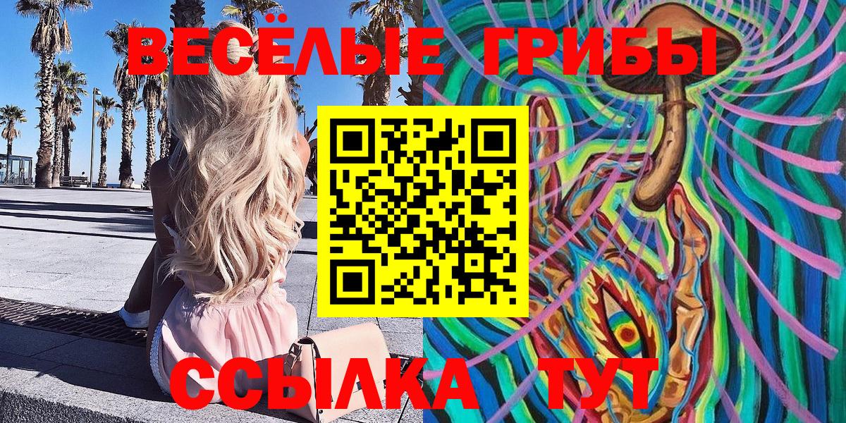 Галлюциногенные грибы Psilocybe Ковров